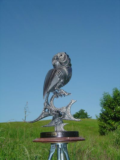 Steel Owl on a Circu